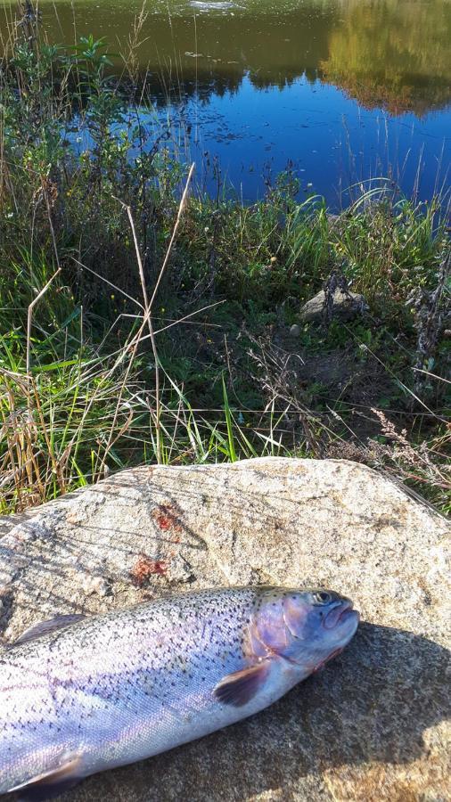 Pedersminde Guesthouse Fredensborg Bagian luar foto