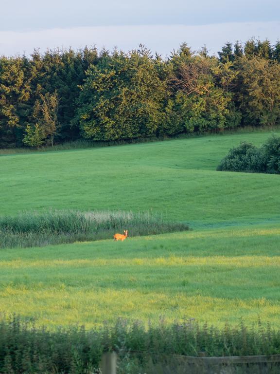 Pedersminde Guesthouse Fredensborg Bagian luar foto